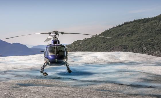 Denali Glacier Landing Helicopter Expedition (Yanert Icefield, Mt. Deborah)