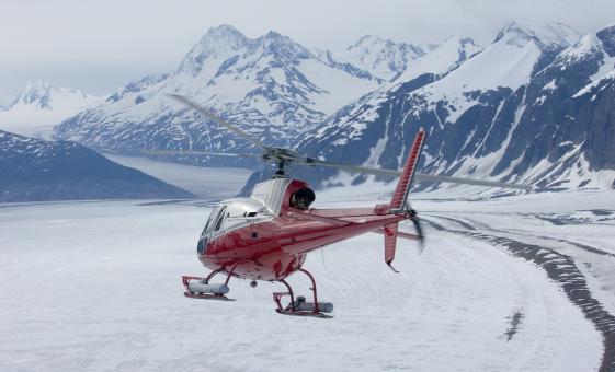 Helicopter and Hiking Adventure in Denali Alaska (Denali National Park)