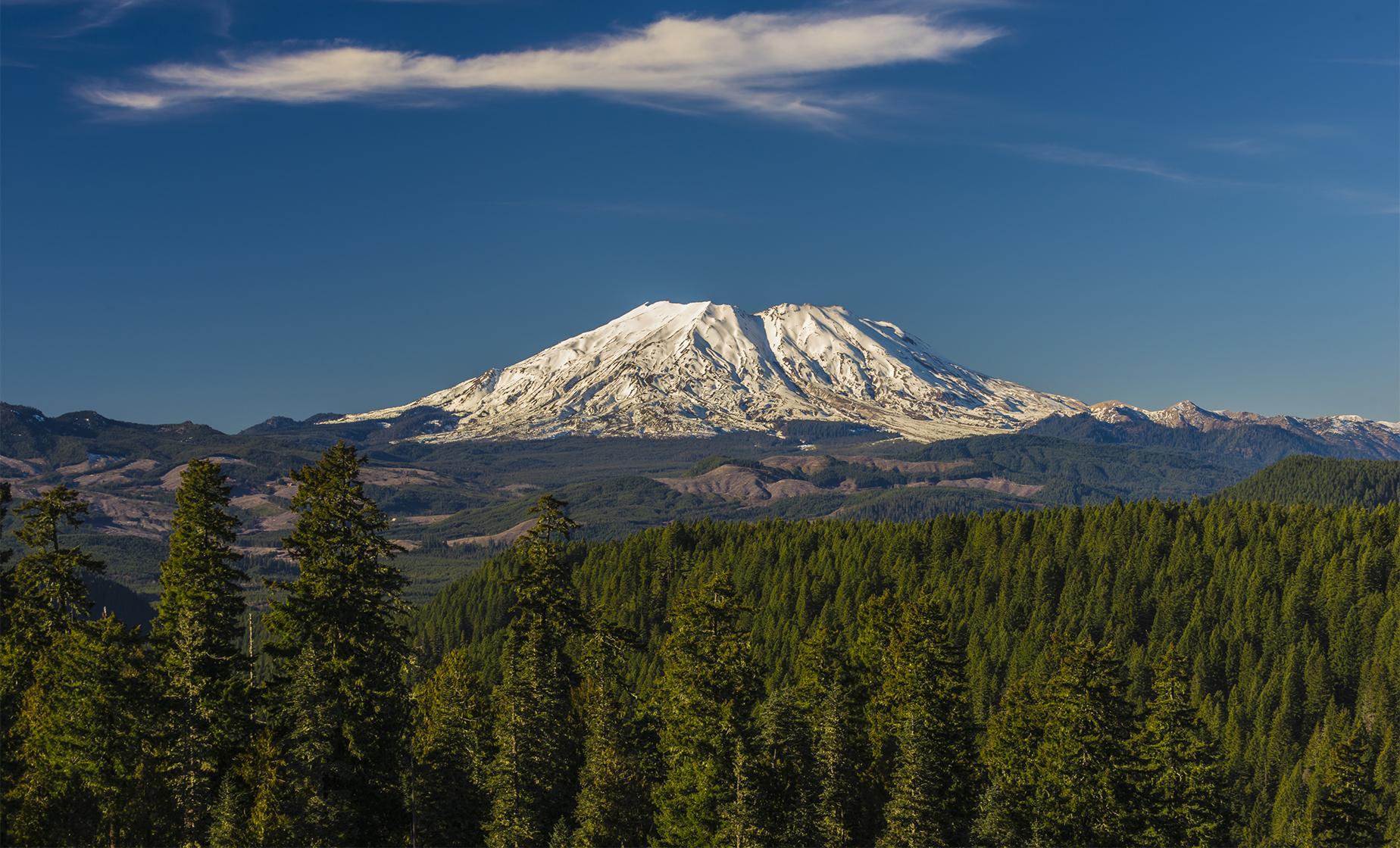 Mount St. Helens Full Day Small Group Tour from Seattle (Johnston Ridge Observatory)