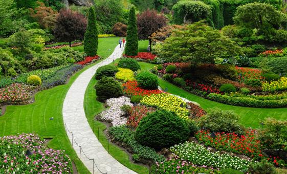 Private City Tour with Butchart Gardens