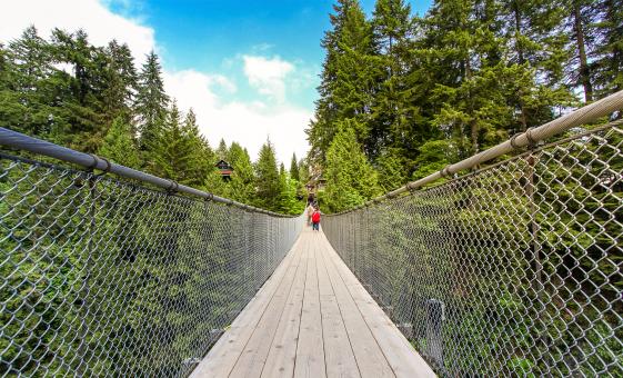 North Shore Capilano & Grouse Mountain Tour in Vancouver