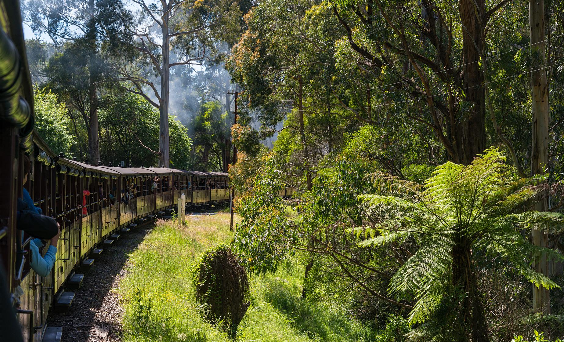 Steam Train, Yarra Valley and Healesville Wildlife Sanctuary Day Tour in Melbourne