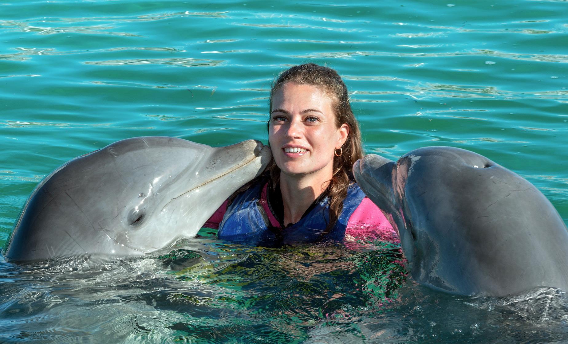Bermuda Shore Excursions | Dolphin Encounter