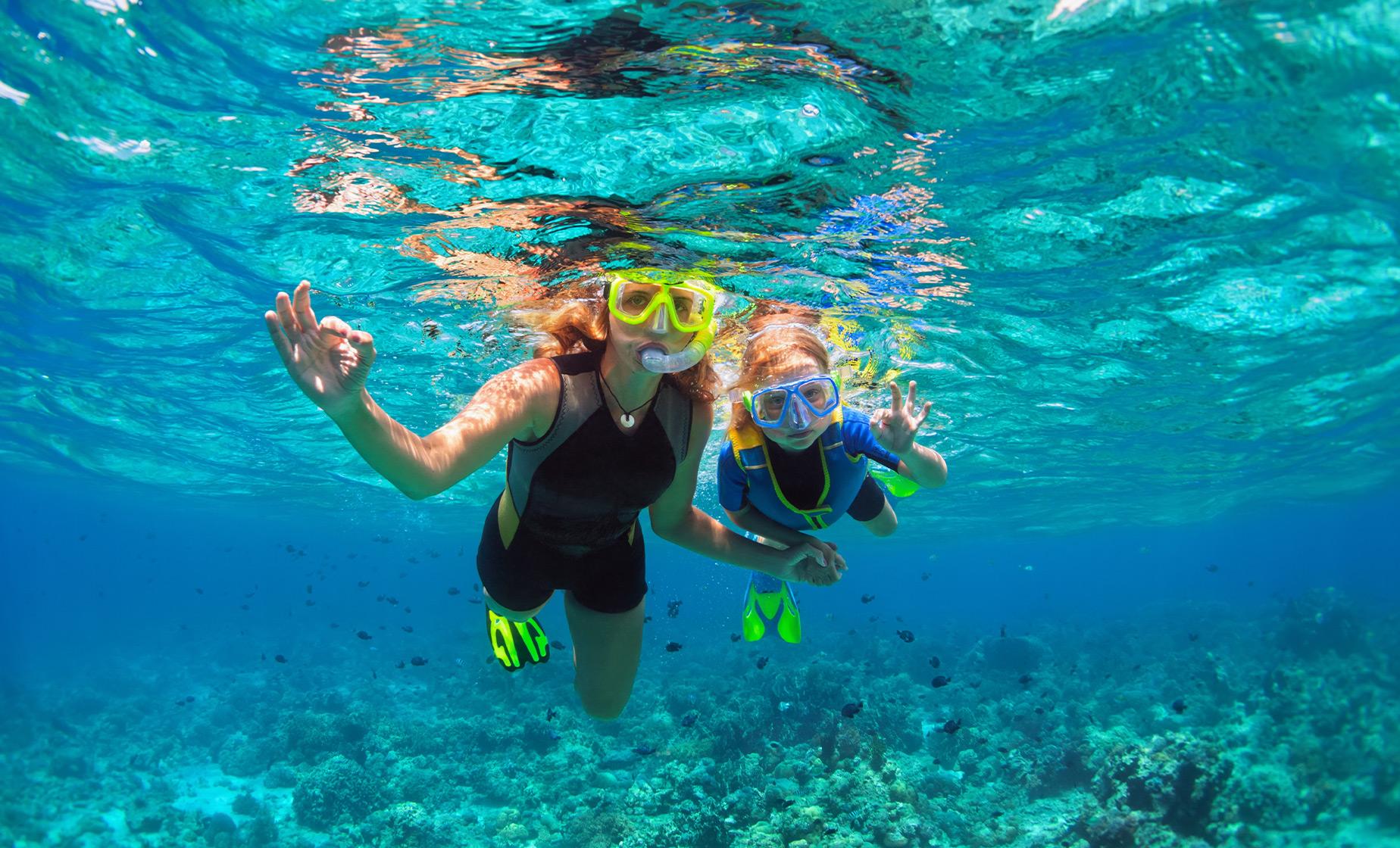 Bermuda Shore Excursions in Hamilton | Best Bermuda Snorkel Adventure in Hamilton
