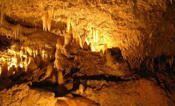 Harrisons Cave Tour in Barbados Trams Stalactites