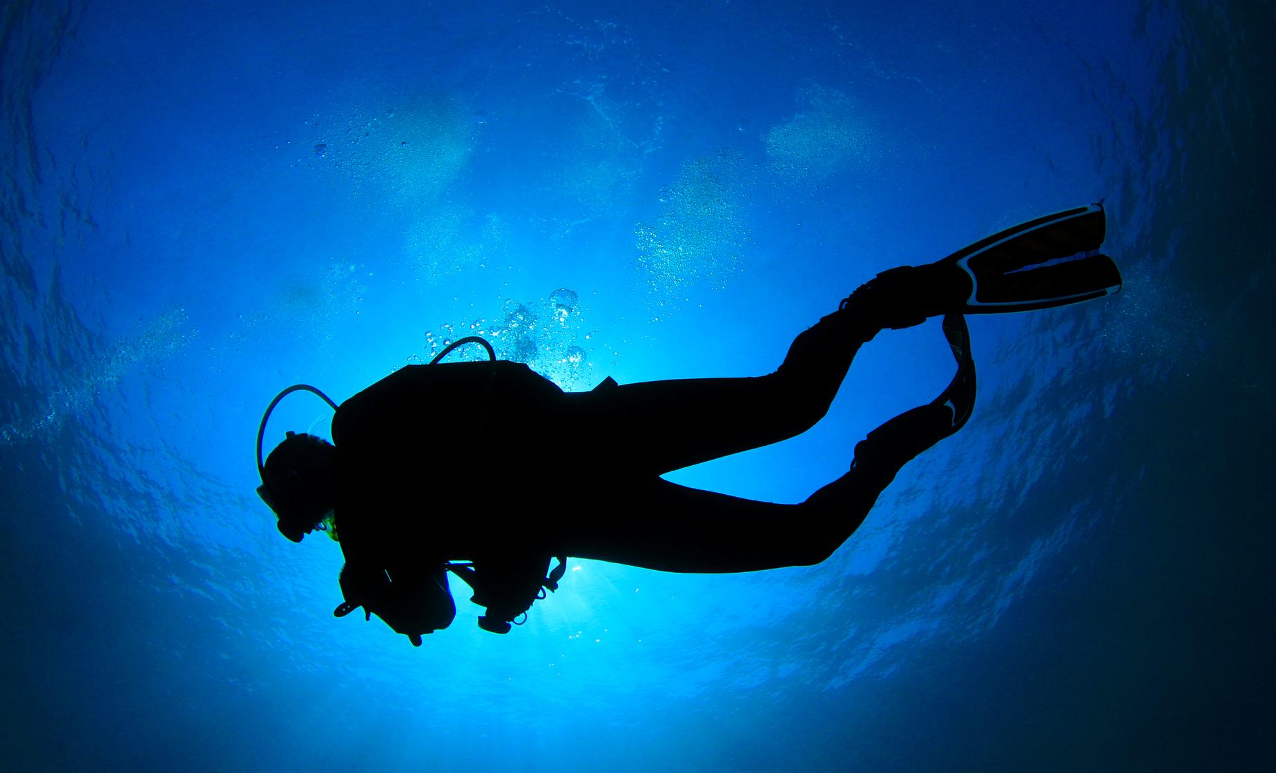 Discover Scuba in Barbados Introductory Lessons Diving Fish and Marine Life