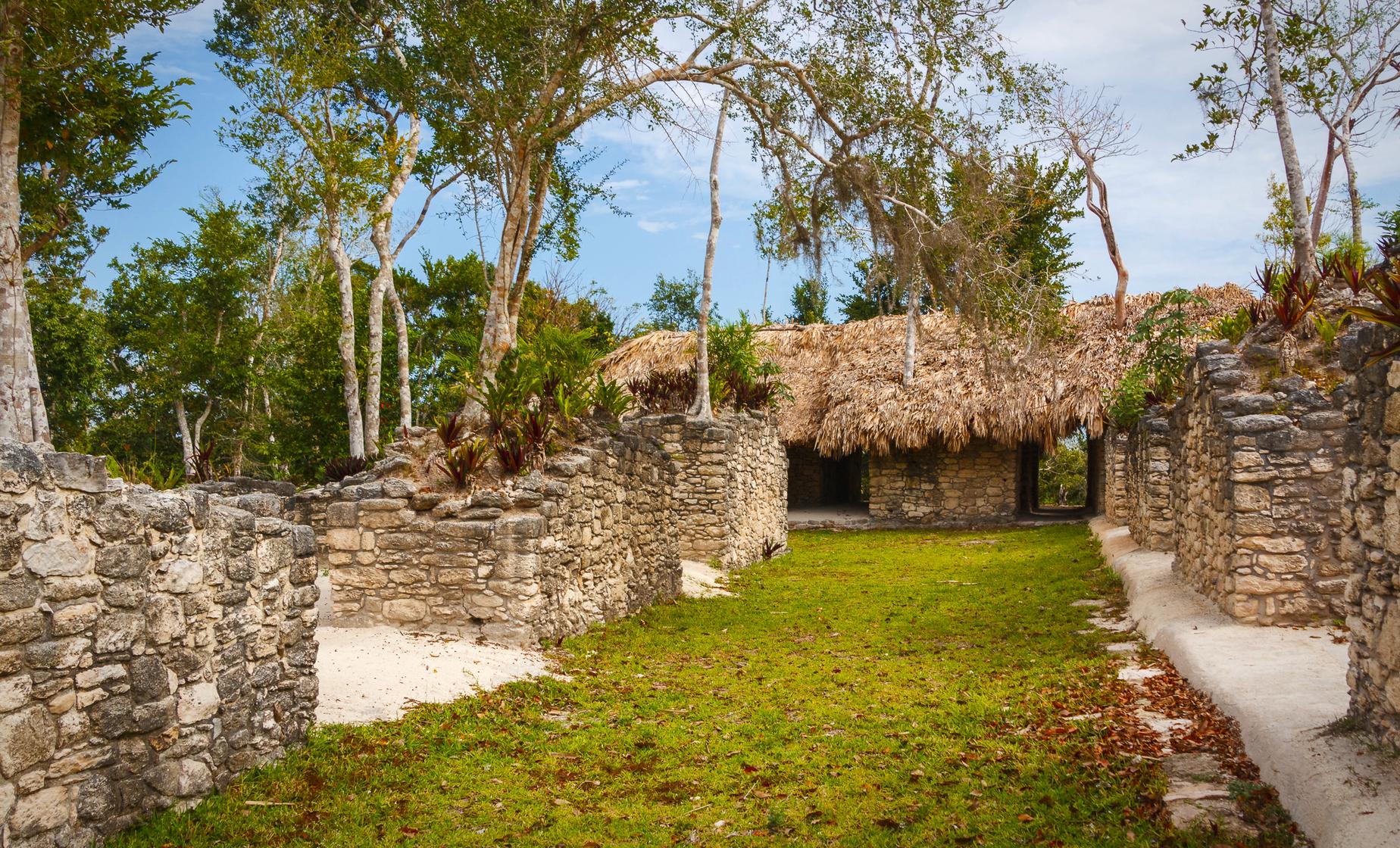 Dzibanche Mayan Ruins Tour History in Costa Maya Petal-style Tikal