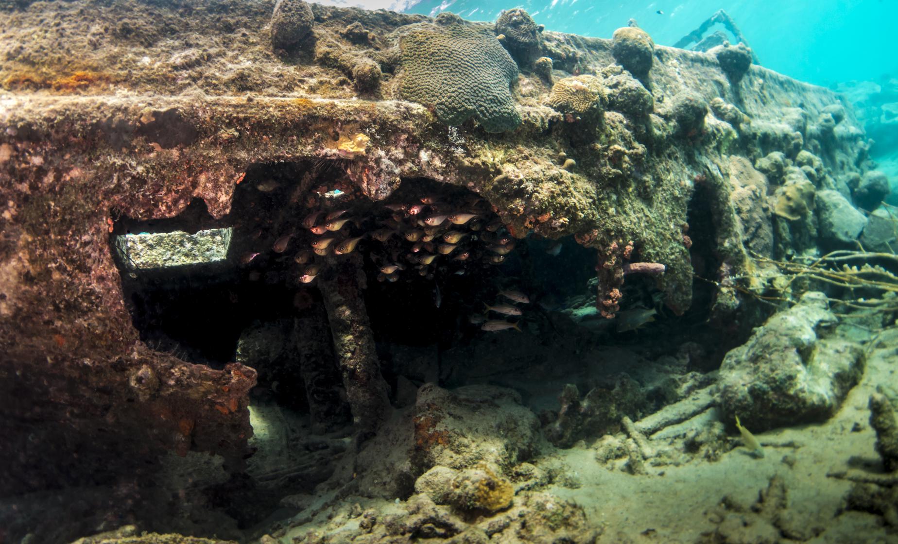 Sunken Tugboat and Reef Snorkel in Curacao Fort Beekenburg