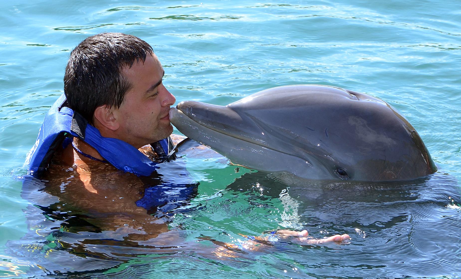 Cozumel Dolphin Encounter at Chankanaab Marine Park | Port Cruise Excursion