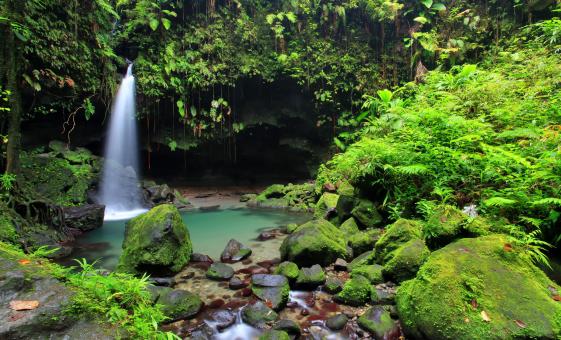 Dominica Favorites Special Tour (Trafalgar Falls, Emerald Pool, Trois Pitons National Park)
