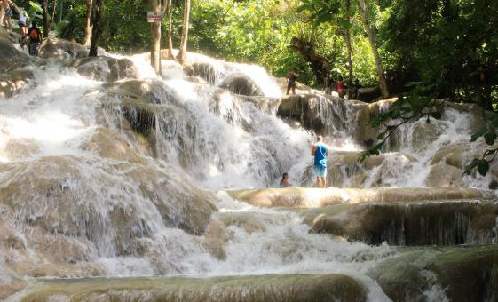Private Dunn's River Falls and Area Highlights