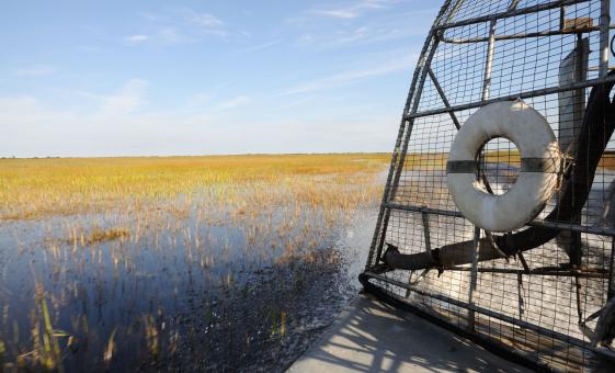 Florida Everglades Airboat and Wildlife Experience Tour Fort Lauderdale