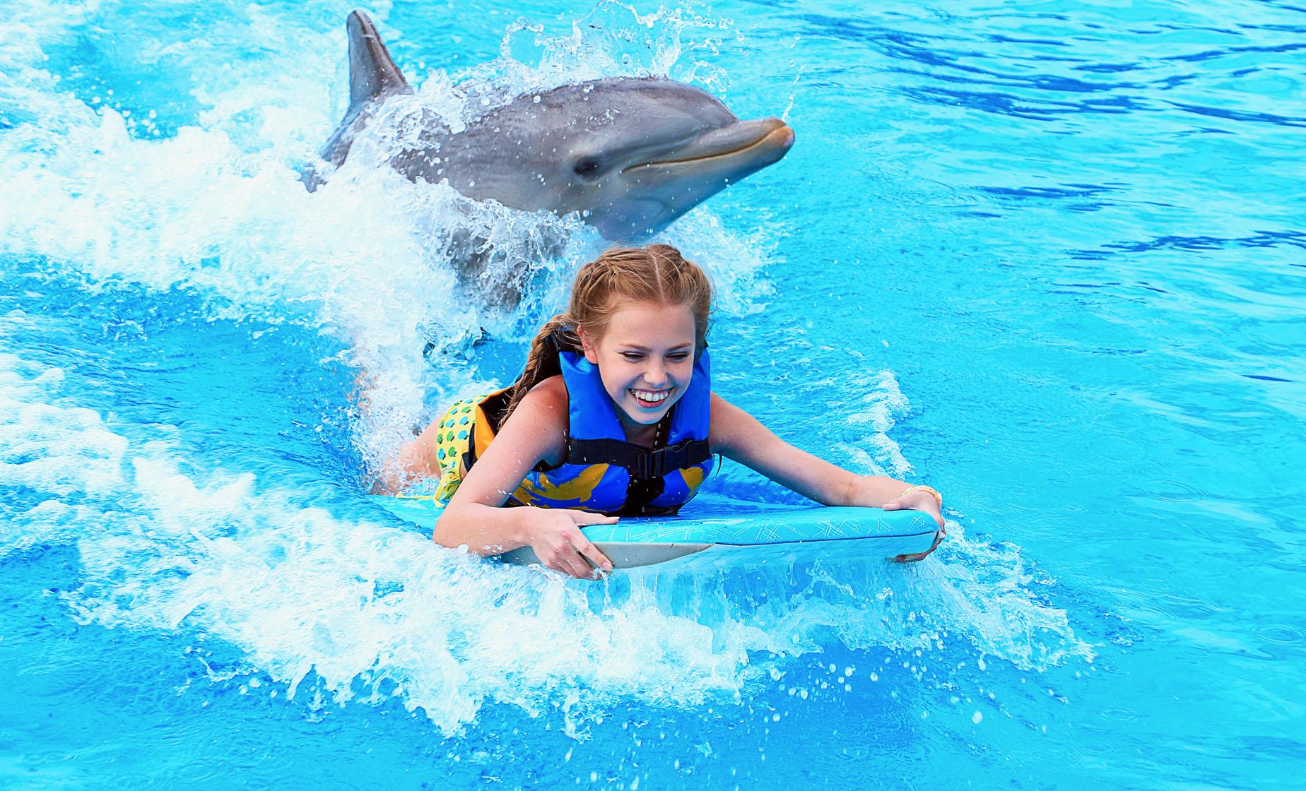 Dolphin Swim in Grand Cayman at Dolphin Park with Turtle Farm Trip