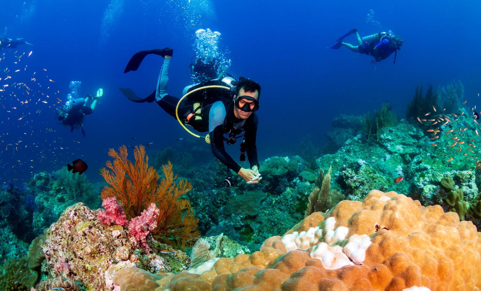 Scuba Diving Day Excursion in Grand Cayman