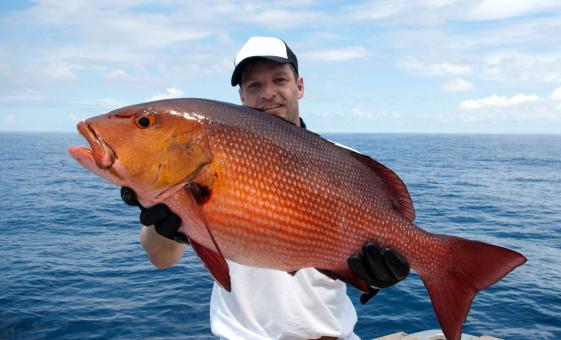 Reef Fishing Charter Day Trip in Grand Cayman