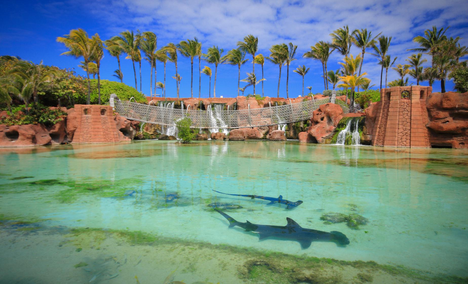 Discover Atlantis in Nassau