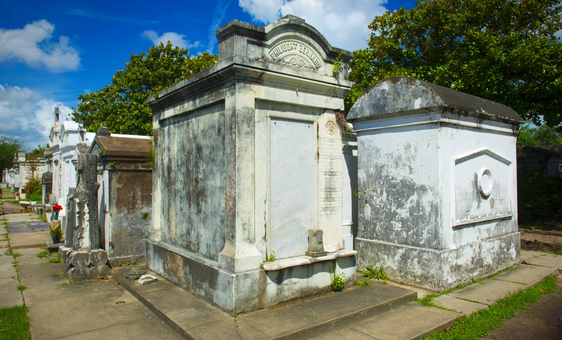 New Orleans City and Cemetery Sightseeing Tour (Crescent City, French Quarter)
