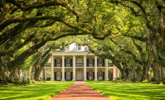 Laura Plantation and Oak Alley Tour in New Orleans (Mississippi River Road)