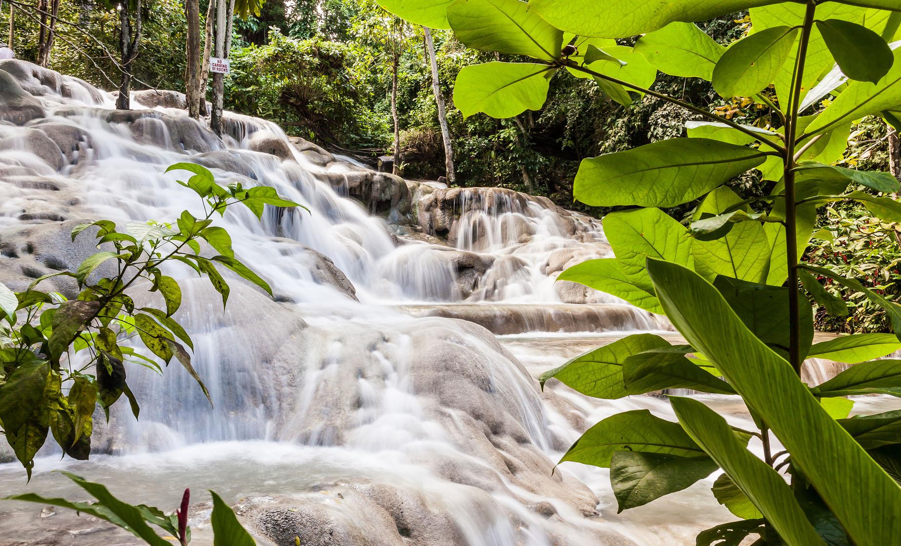 Private Ocho Rios Dunn's River Falls and Area Highlights