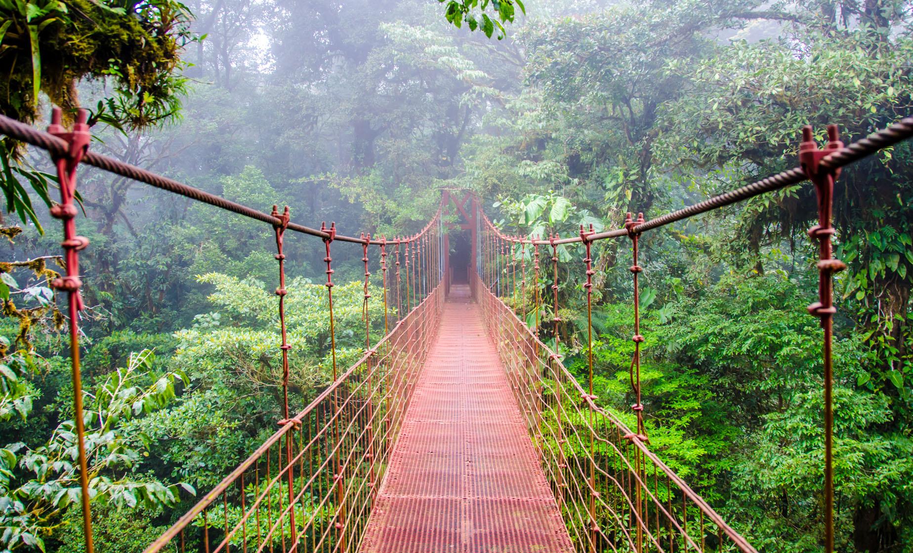 Monteverde Cloud Forest, Coffee Tour