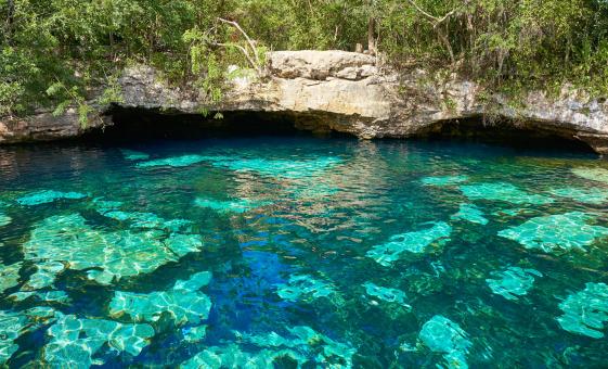 Cenote Natural Reserve with Beach
