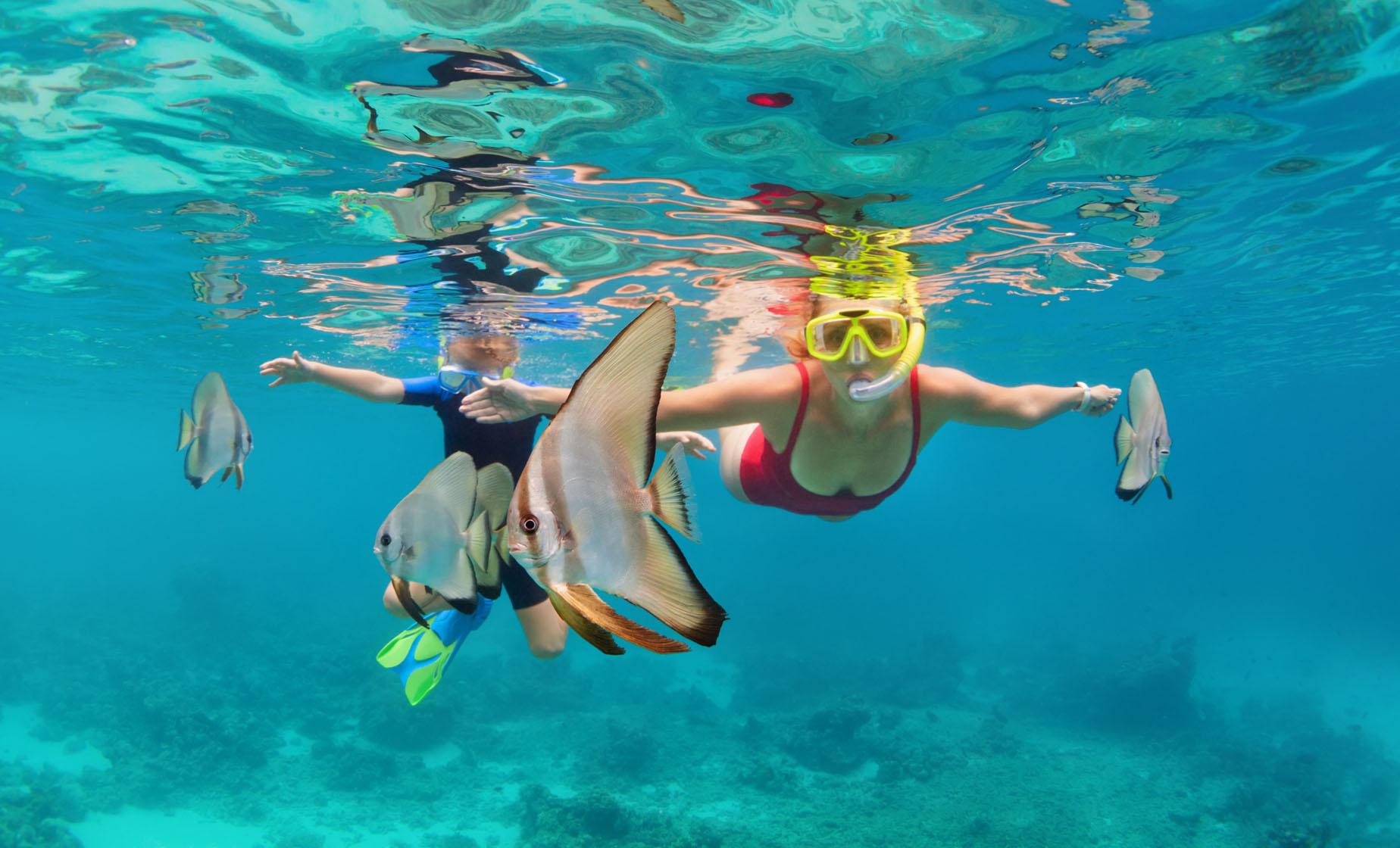 The 10 Best Roatan Excursions and Tours Book a Roatan Cruise Tour Today