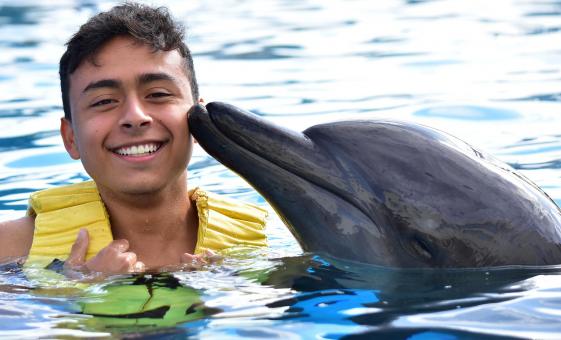 St. Kitts Shore Excursions | Dolphin Encounter