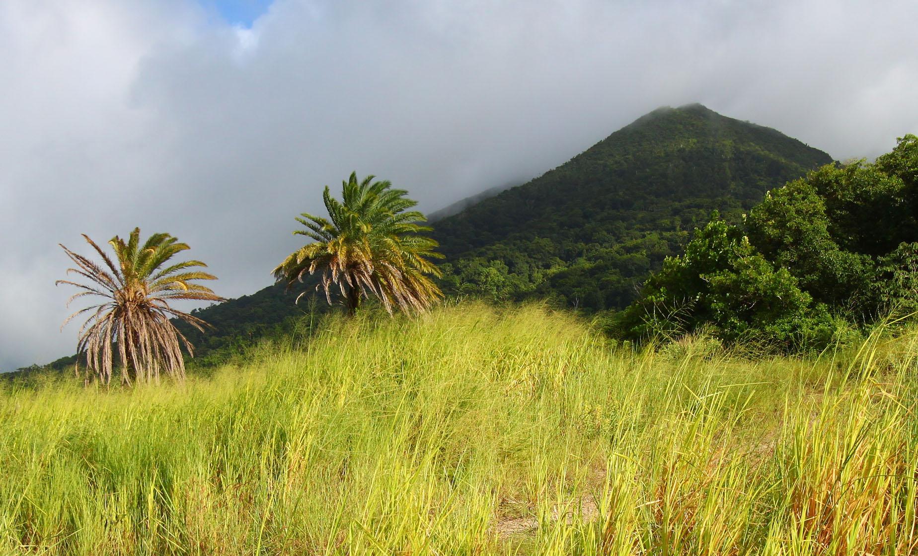 St. Kitts Volcano Hike