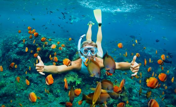 St Maarten Snorkeling Tour at Pinel Island & Oyster Pond