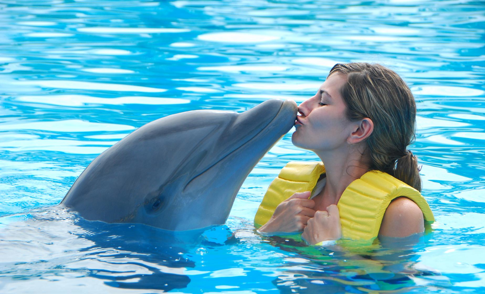 Anguilla Dolphin Royal Swim Port Tour | Caribbean Cruise Trips