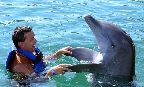 Dolphin Experience and Coral World