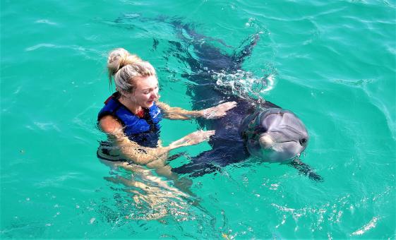 Dolphin Swim, Coral World, and Coki Beach