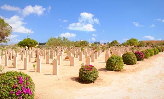 Private El Alemein Tour from Alexandria (Alemein War Cemetery, Military Museum)