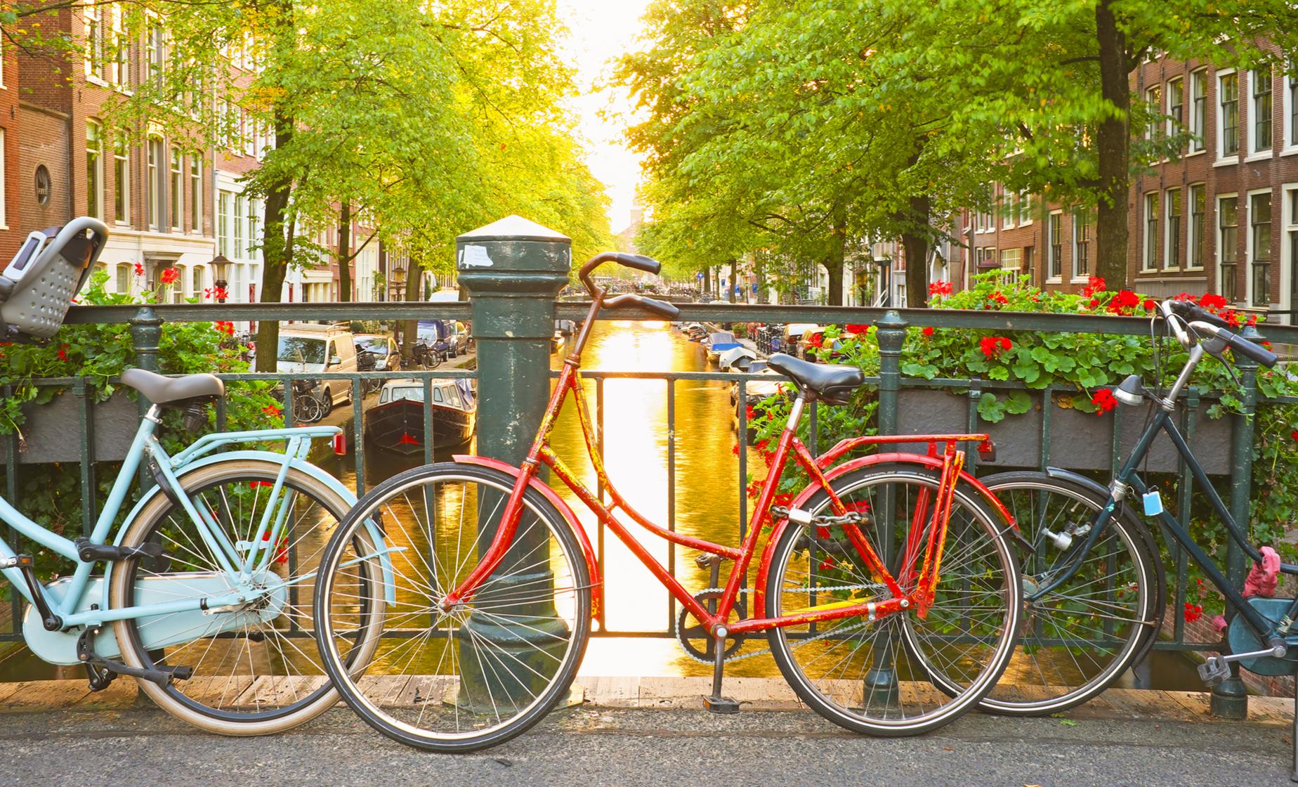 Amsterdam Big City Bike Tour