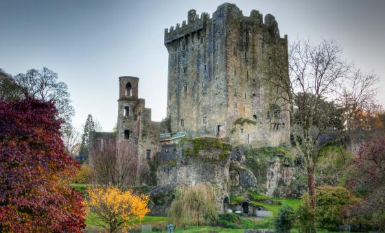 Cork City and Blarney Castle with Private Transportation (City Hall, St Finbarr's Cathedral)