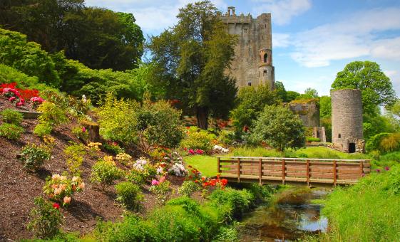 South of Ireland with Private Transportation from Cork (Blarney, Kinsale, Charles Fort)