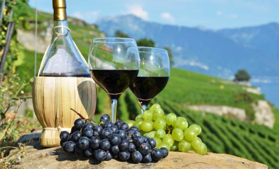 Tuscany Wine Tasting