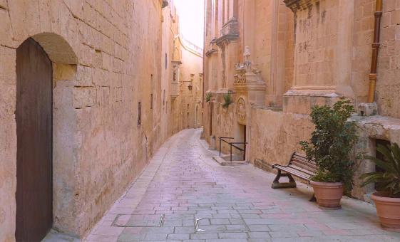 Medieval Mdina Tour in Malta (Dingli, Filfla, San Anton Gardens)