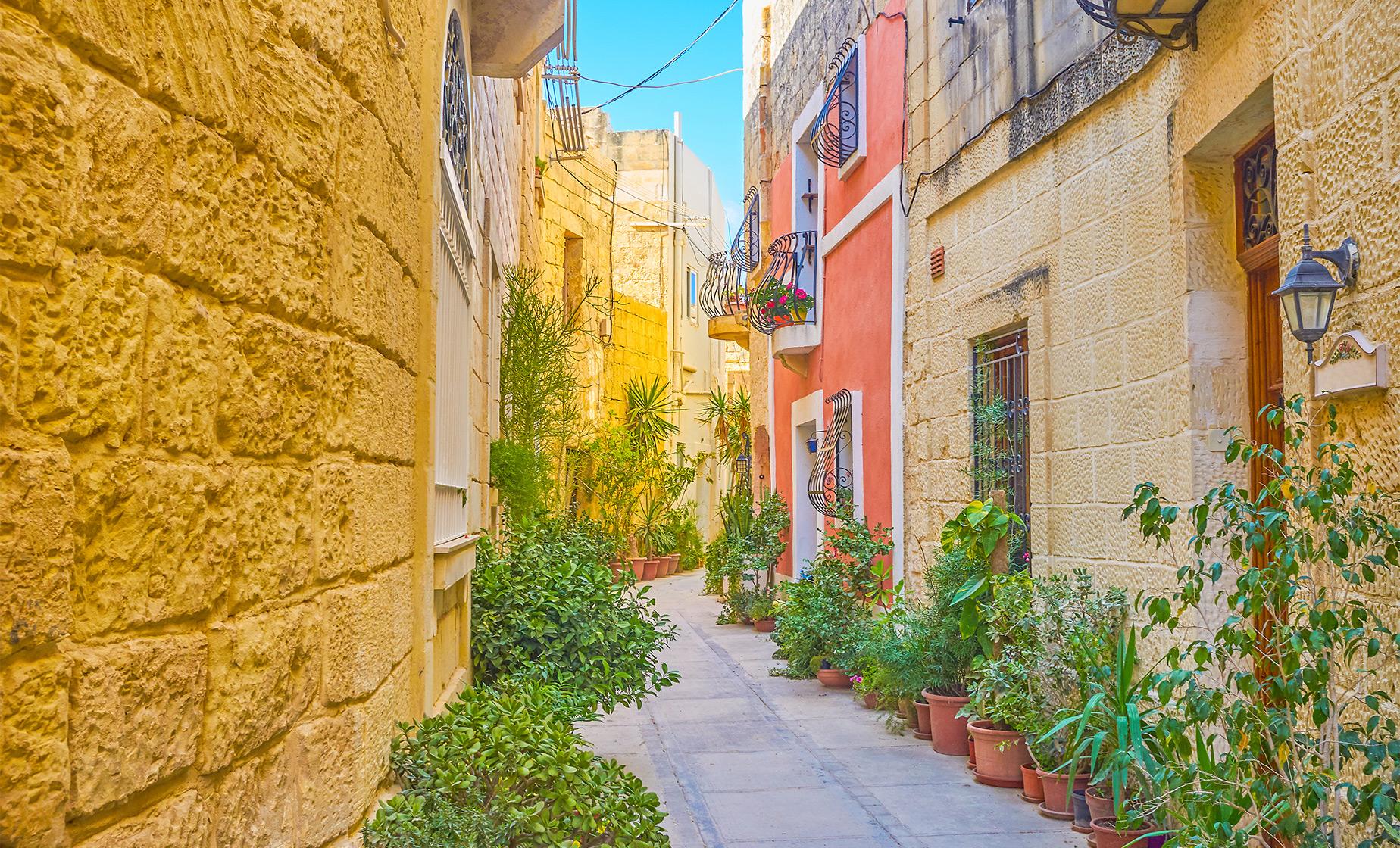 Private Maltese Historic Homes and Palazzos Tour (Valletta, Casa Rocca Piccola)