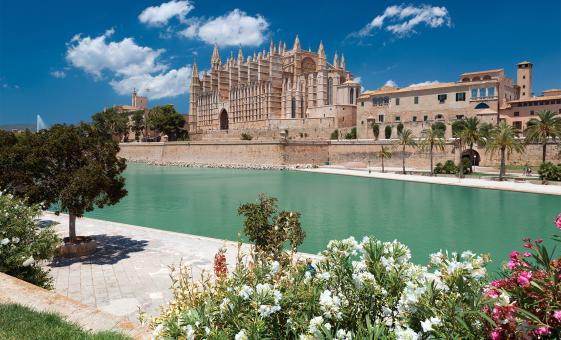 Private Discover Palma and Cathedral
