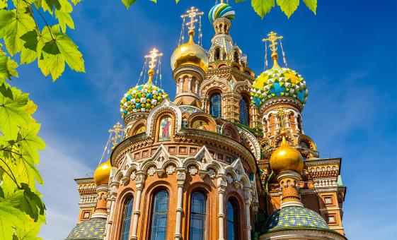 Private Hermitage and Spilled Blood Cathedral Tour in St. Petersburg (Visas Included)