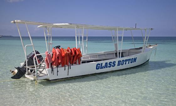 Glass Bottom Boat to Lands End Tour in Cabo San Lucas (Sea of Cortes, Pelican's Beach)
