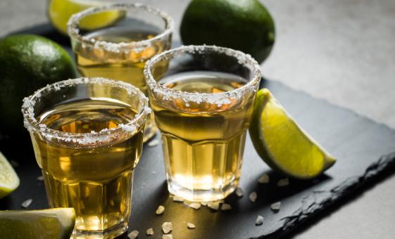 Private Tequila Tasting and City Tour