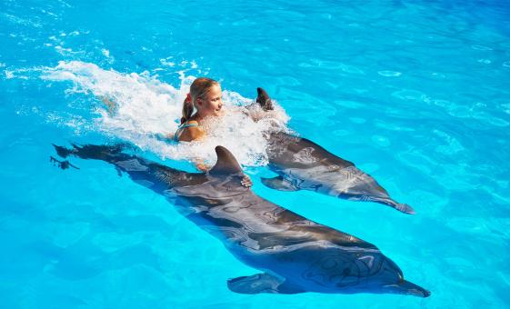 Royal Swim with Dolphins and Water Park Tour in Puerto Vallarta