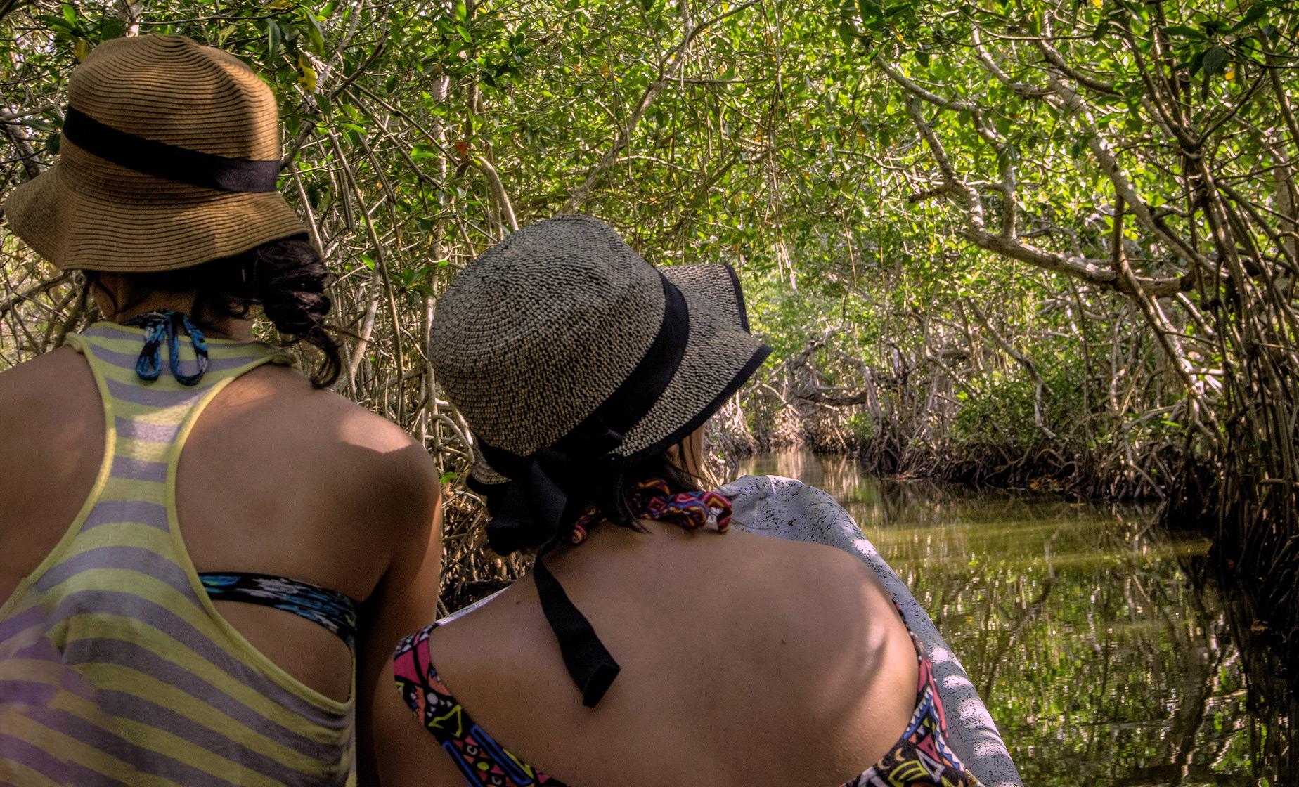 Mangroves Tour in Cartagena (La Boquilla, Las Bovedas)