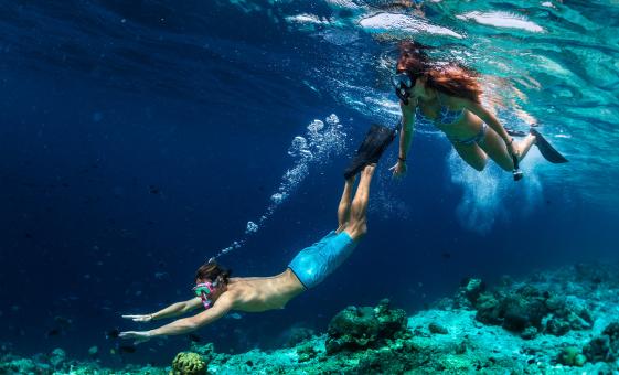 Vanuatu Culture and Snorkeling Combo