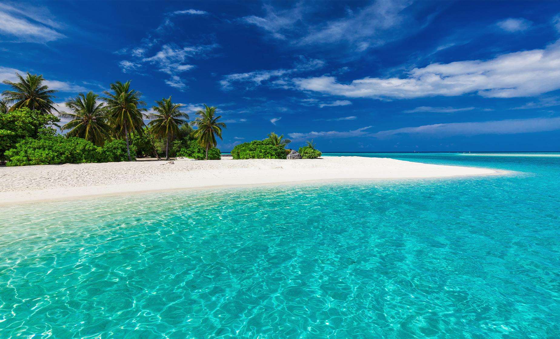 Fiji Beach Break