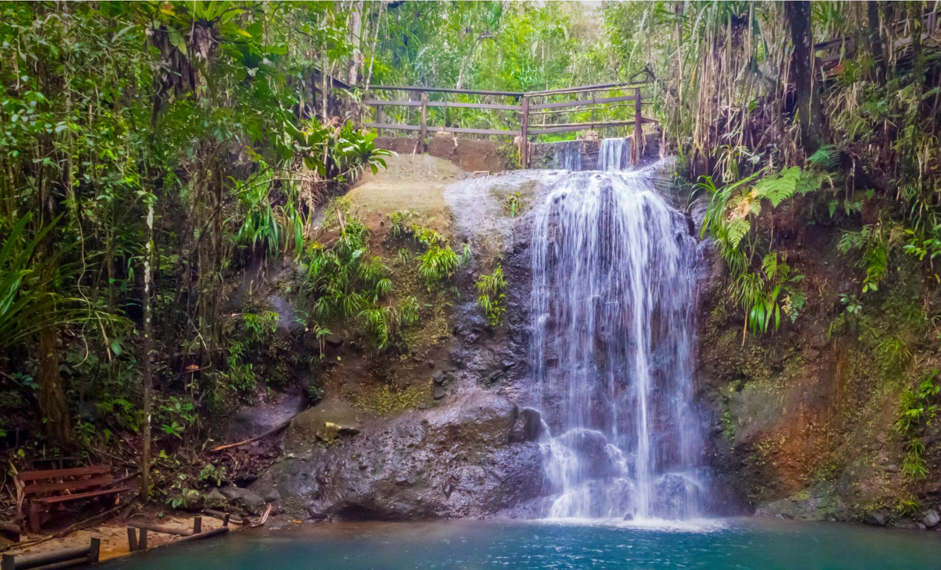 Private Jungle and Waterfall Trek