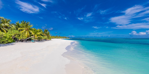 celebration-key-shore-excursions