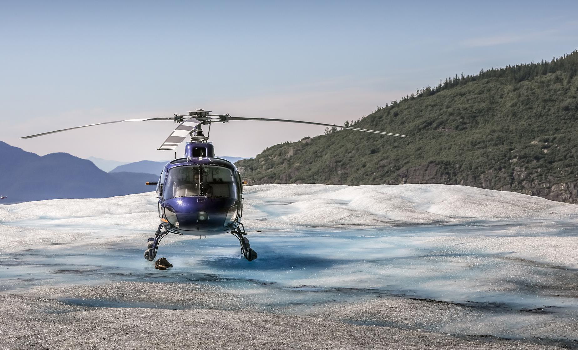 denali helicopter tour & glacier landing